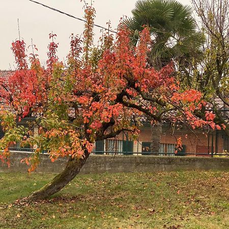 Al Vecchio Pero, Con Ampio Giardino Privato Villa La Morra Ngoại thất bức ảnh